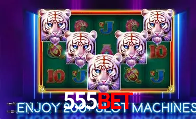 555bet Licença Curaçao Gaming